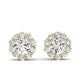 Sequoia Round Cut Moissanite Halo Earrings yellowgold