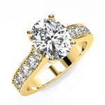 calluna ov yellowgold