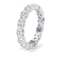 Daylily Round Cut Moissanite Eternity Band whitegold