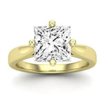 Gardenia Diamond Matching Band Only (does Not Include Engagement Ring) For Ring With Princess Center yellowgold