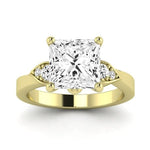 Hibiscus Moissanite Matching Band Only (does Not Include Engagement Ring)  For Ring With Princess Center yellowgold