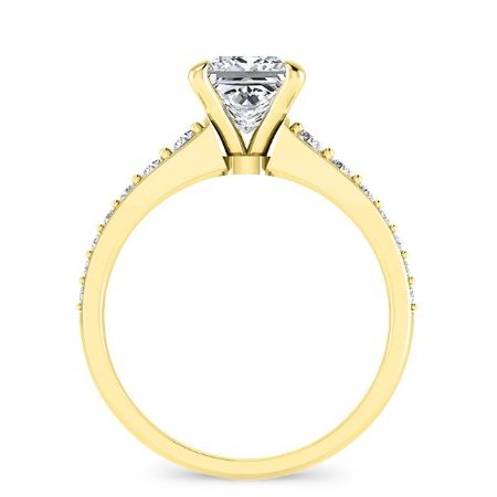 Holly Princess Moissanite Bridal Set yellowgold