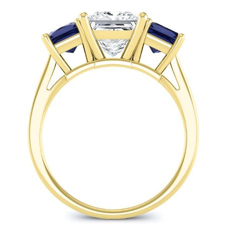 Ilex Princess Moissanite Bridal Set yellowgold