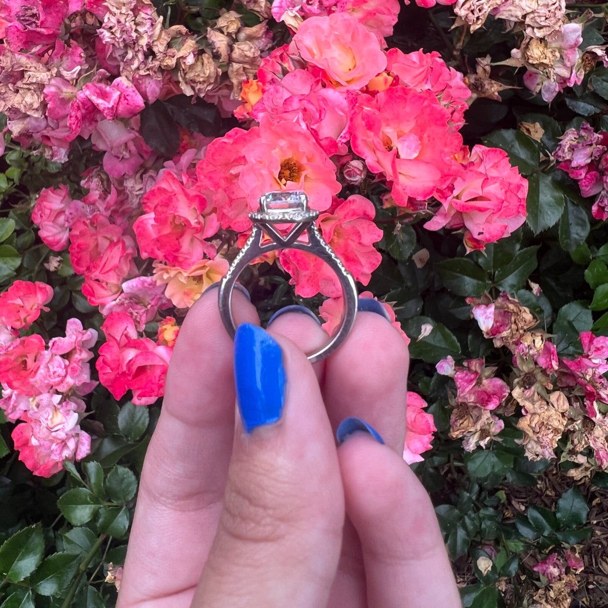 Mallow Round Diamond Engagement Ring (Lab Grown Igi Cert) whitegold