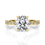 marigold ov yellowgold