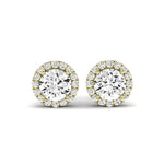 Meadow Round Cut Diamond Halo Stud Earrings (Clarity Enhanced) yellowgold