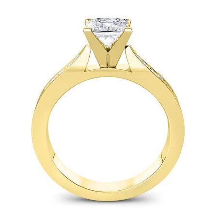 Petunia Diamond Matching Band Only (engagement Ring Not Included) For Ring With Princess Center yellowgold