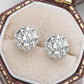 Quinn Moissanite Earrings whitegold