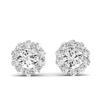 Sequoia Round Cut Moissanite Halo Earrings whitegold