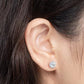 Quinn Moissanite Earrings whitegold